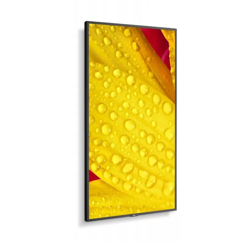NEC MultiSync M651-2 profesionalus ekranas 65 colių LED 4K Ultra HD 500 cd/m² juodas