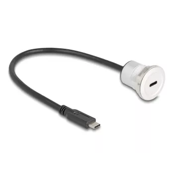 USB-C laidas DeLOCK 88183 0,3 m, USB-C, juodas sidabrinis