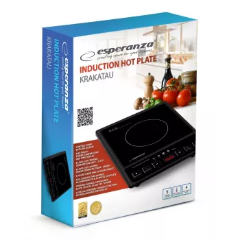 Esperanza EKH011 juoda plokščia indukcinė kaitlentė 1 zona
