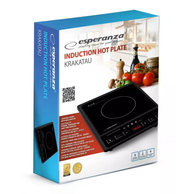 Esperanza EKH011 juoda plokščia indukcinė kaitlentė 1 zona