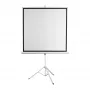 Projekcinis ekranas SBOX PSMT-96-2, 172 x 172 cm matymo laukas