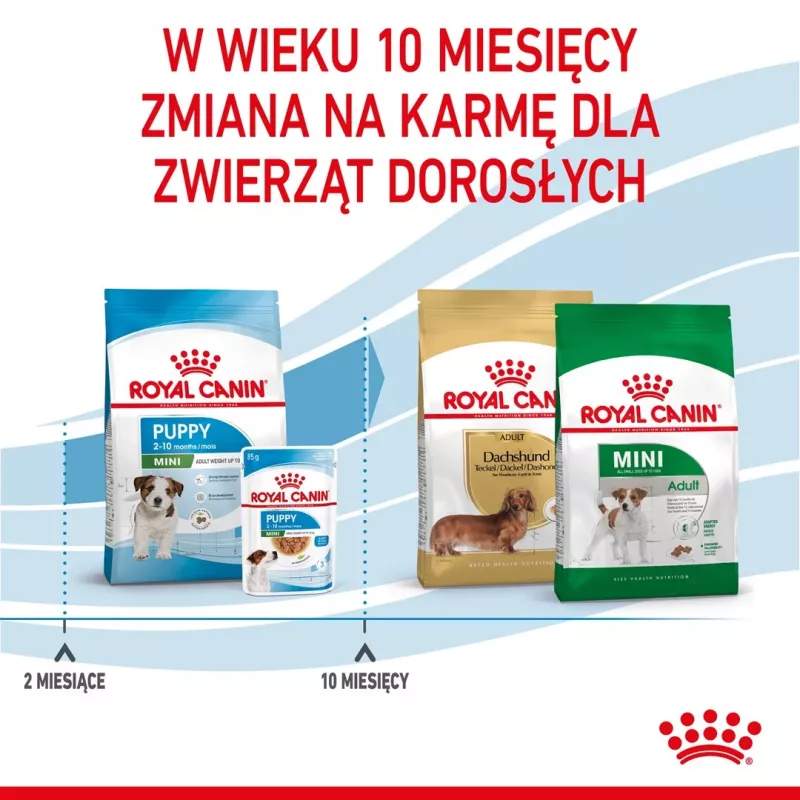 Royal Canin Mini Puppy SHN sausas maistas šunims, 2 kg