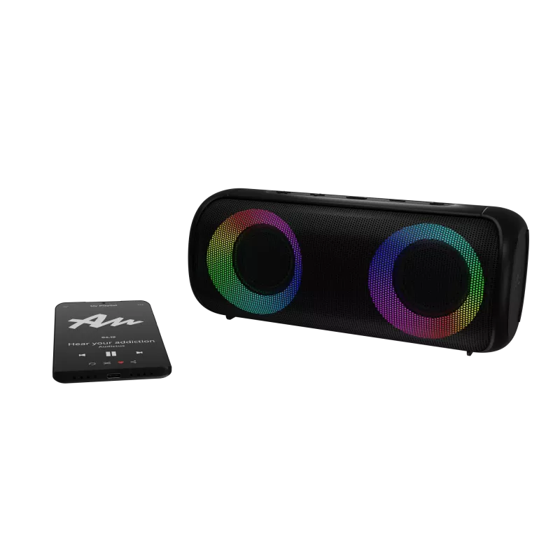 Nešiojamas stereo garsiakalbis Audictus Aurora Pro 20 W