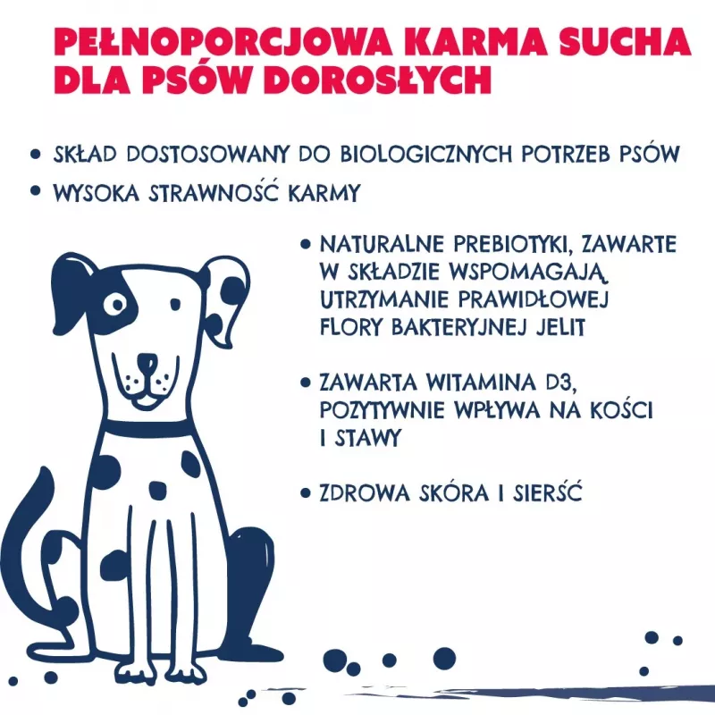 TEO Rich in beef - sausas šunų ėdalas - 15kg