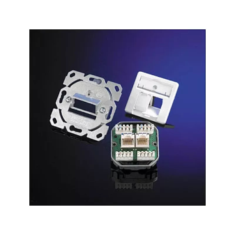 Telegärtner 25.16.8650 AMJ45 UP/50 tinklo rozetė montuojama po tinku, 2x RJ45, Cat.6 Class E, alpių balta