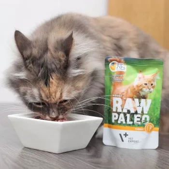 Šlapias kačių ėdalas VETEXPERT Raw Paleo Adult Cat Turkey 100 g – be grūdų, 10,3% baltymų, 5,3% riebalų, 79% drėgmės
