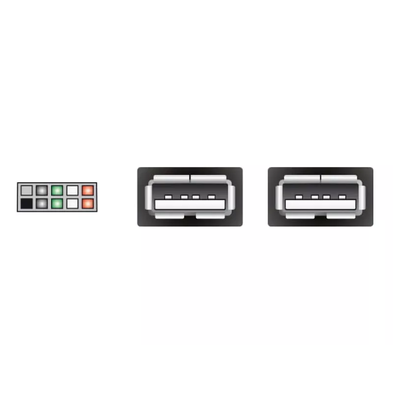 Vidinis USB kabelis DeLOCK 83292 0,2 m Motina-Motina