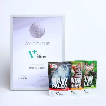 RAW PALEO Adult Cat Beef - šlapias ėdalas katėms - 100 g