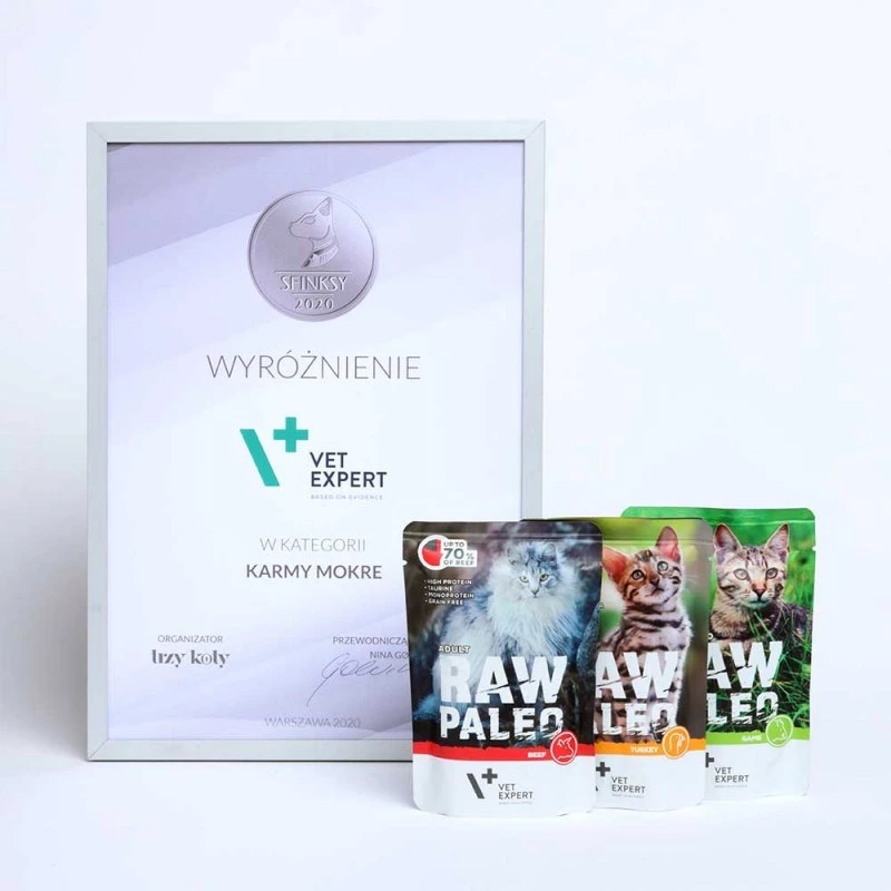 RAW PALEO Adult Cat Beef - šlapias ėdalas katėms - 100 g