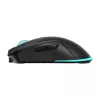 Belaidė pelė Baracuda BGM-121 Turtle Black USB