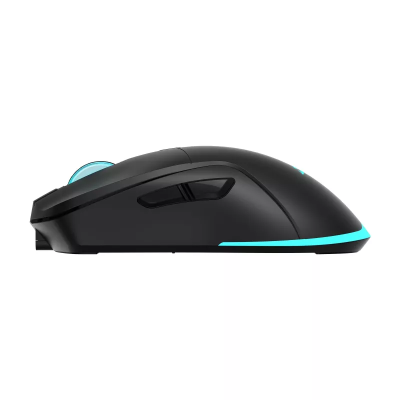 Belaidė pelė Baracuda BGM-121 Turtle Black USB