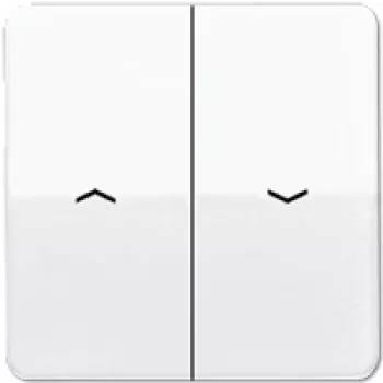 JUNG svirtinis jungiklis/spaudimo mygtukas CD595PWW CD500 Alpine White (CD595PWW)
