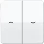 JUNG svirtinis jungiklis/spaudimo mygtukas CD595PWW CD500 Alpine White (CD595PWW)