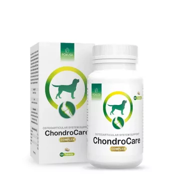 POKUSA ChondroCare Complex papildai šunims - 120 vnt.