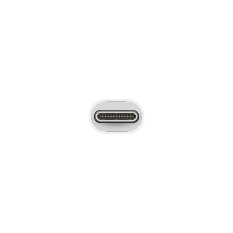 Apple Thunderbolt 3 (USB-C) į Thunderbolt 2 adapteris