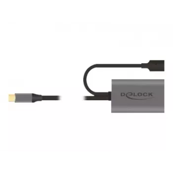 Delock USB-20225 maitinimo adapteris pilka