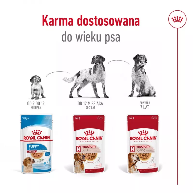 ROYAL CANIN SHN Medium Adult padaže – šlapias pašaras suaugusiems šunims – 10x140 g