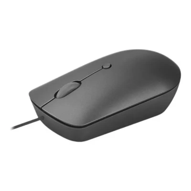 Lenovo 540 pelė Office Ambidextrous USB Type-C optinė