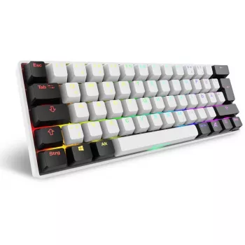 Sharkoon SGK50 S4 klaviatūra USB QWERTZ vokiška balta RGB LED 60%