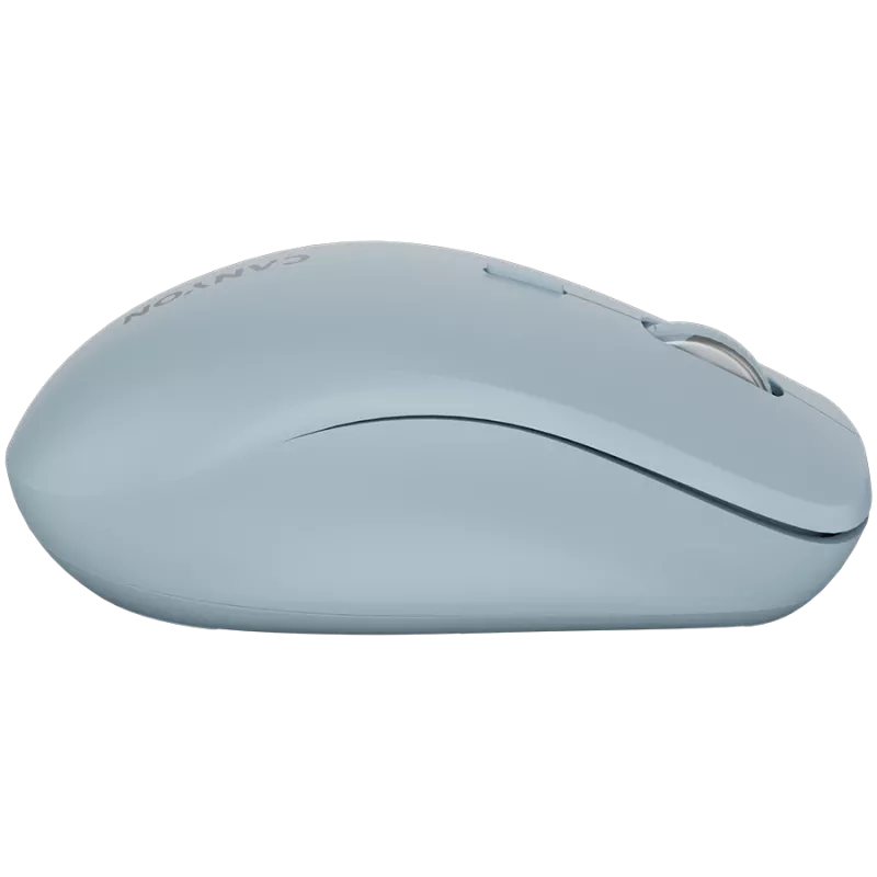 CANYON MW-12 Dual Band Wireless Blue pelė (CNS-CMSW12BL)