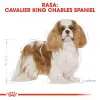 Sausas šunų ėdalas Royal Canin Cavalier King Charles Adult 1,5 kg — Vištiena, Mažos veislės, Oda ir kailis, Širdies palaikymas