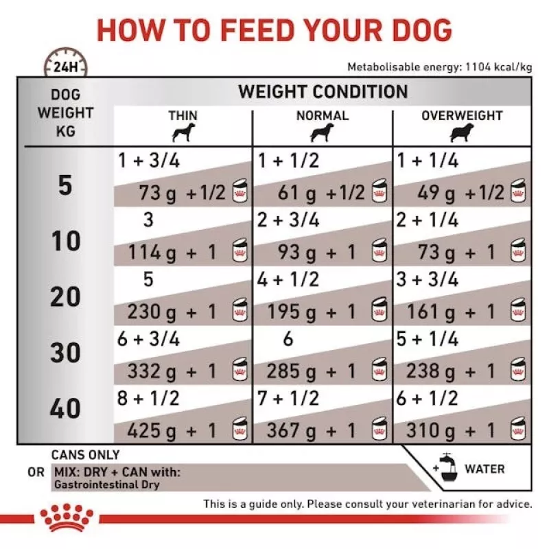Veterinarinis konservuotas ėdalas šunims Royal Canin Gastro Intestinal 200 g – suaugusiems, paukštiena, virškinimo palaikymas