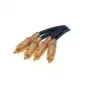 shiverpeaks BASIC-S 2x RCA – 2x RCA 10 m, 2 x RCA – vyriški, 2 x RCA – vyriški, auksuoti, juodi, auksiniai (BS40230)