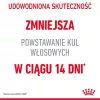 Sausas maistas katėms Royal Canin Hairball Care, 2 kg