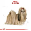 Sausas šunų ėdalas Royal Canin Shih Tzu Adult 1,5 kg – paukštiena, 24% baltymų, 20% riebalų, suaugusiems mažiems šunims
