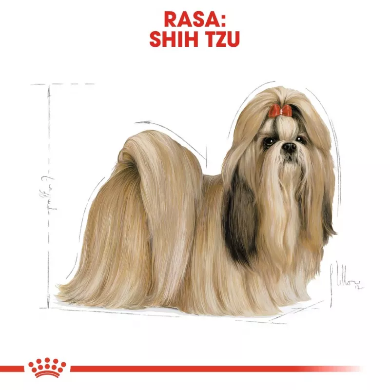 Sausas šunų ėdalas Royal Canin Shih Tzu Adult 1,5 kg – paukštiena, 24% baltymų, 20% riebalų, suaugusiems mažiems šunims
