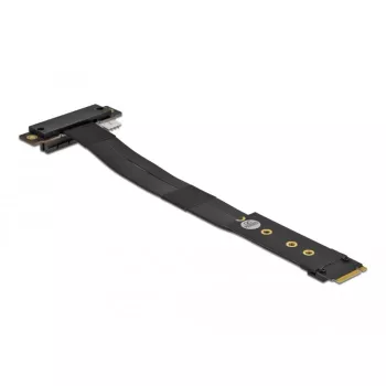 DeLOCK 64132 M.2 Key M į PCIe x4 NVMe adapteris