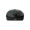 Belaidė pelė Baracuda BGM-121 Turtle Black USB