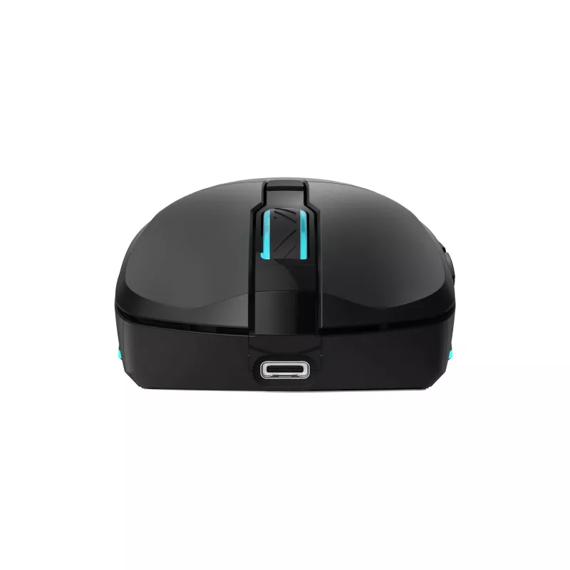 Belaidė pelė Baracuda BGM-121 Turtle Black USB