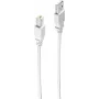 shiverpeaks BS77021 USB kabelis 1 m USB 2.0 USB A – USB B pilkas (BS-77021)