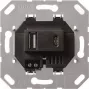 Gira USB maitinimo šaltinis 2-jų lizdų Type A/C įdėklas 236900 (236900)
