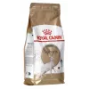 Royal Canin Sphynx Adult sausas maistas katėms, 2 kg