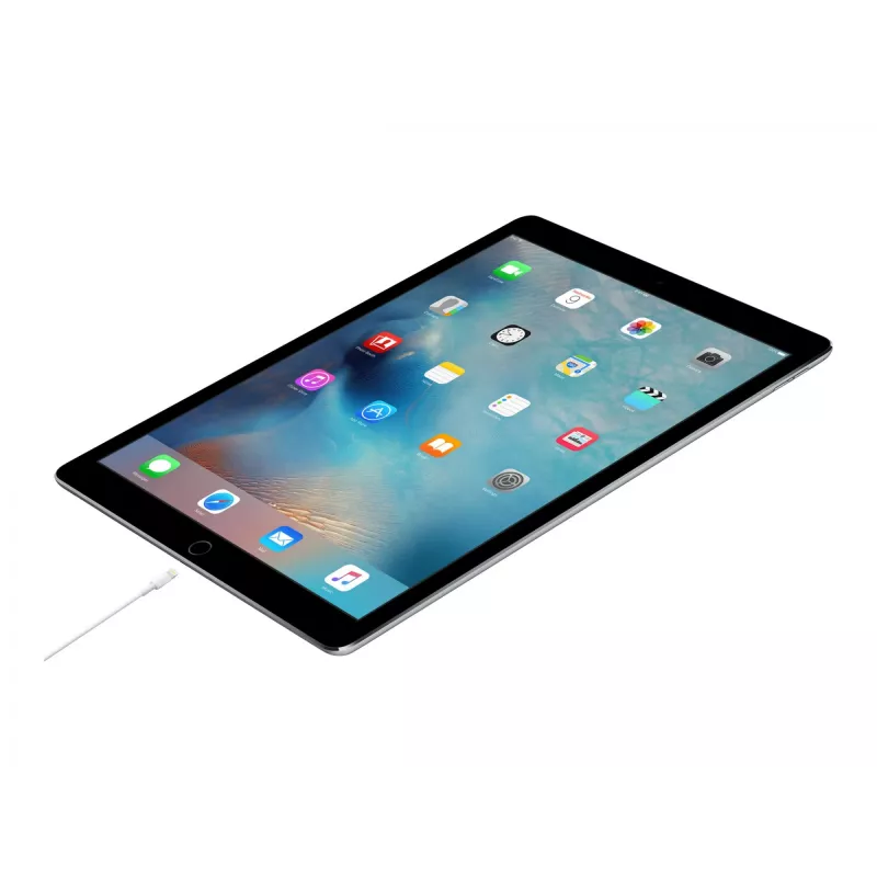 Apple USB-C į Lightning laidas (1 m)