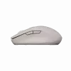 Canyon pelė MW-12 Dual band Wireless Beige - Pelė - 2400 dpi (CNS-CMSW12BG)
