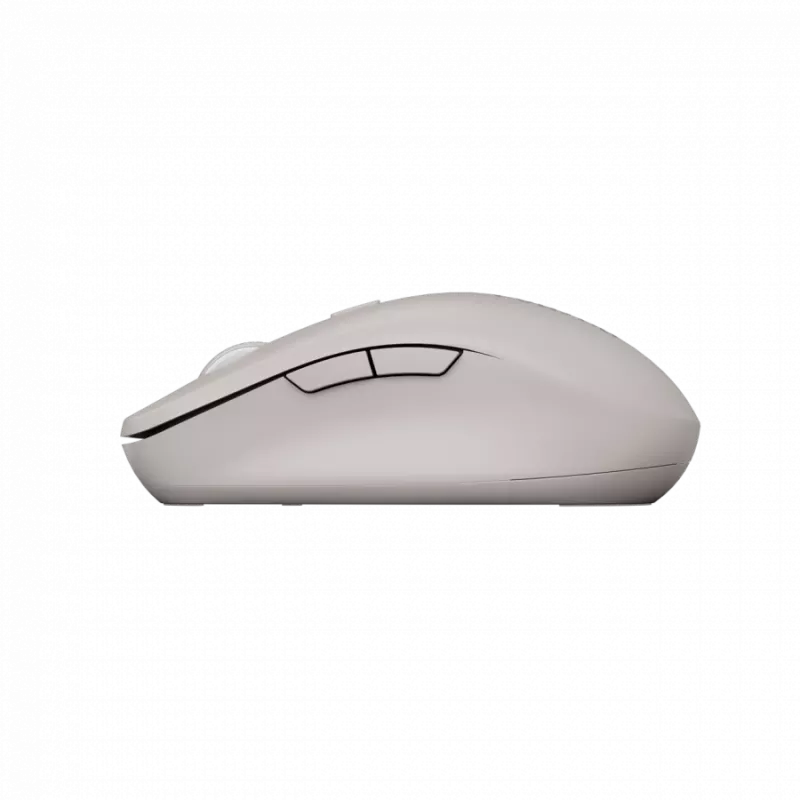 Canyon pelė MW-12 Dual band Wireless Beige - Pelė - 2400 dpi (CNS-CMSW12BG)