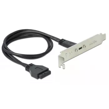 Lizdinės plokštės laikiklis DeLOCK 89937 su 1 x USB Type-C prievadu