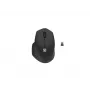 Natec Wireless Mouse Siskin 2 BT 5.0 + 2.4GHZ belaidė pelė