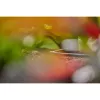 GARDENA L formos jungtis lašelinio drėkinimo sistemai, plastikinė, 4,6 mm (3/16 inch)