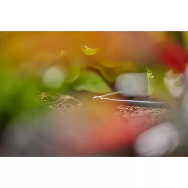 GARDENA L formos jungtis lašelinio drėkinimo sistemai, plastikinė, 4,6 mm (3/16 inch)