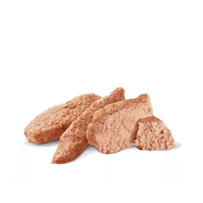 Šlapias šunų maistas Royal Canin Gastrointestinal High Fibre Loaf 200 g – suaugusiems šunims, mėsos skonio, virškinimo palaikymui