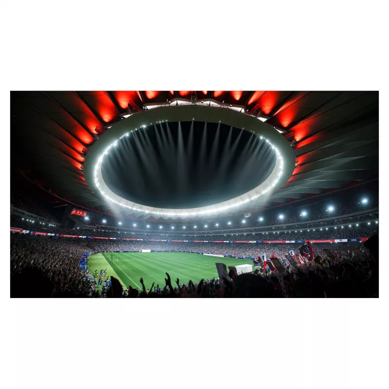 Electronic Arts FC 24 skirta PlayStation 4 / PlayStation 5
