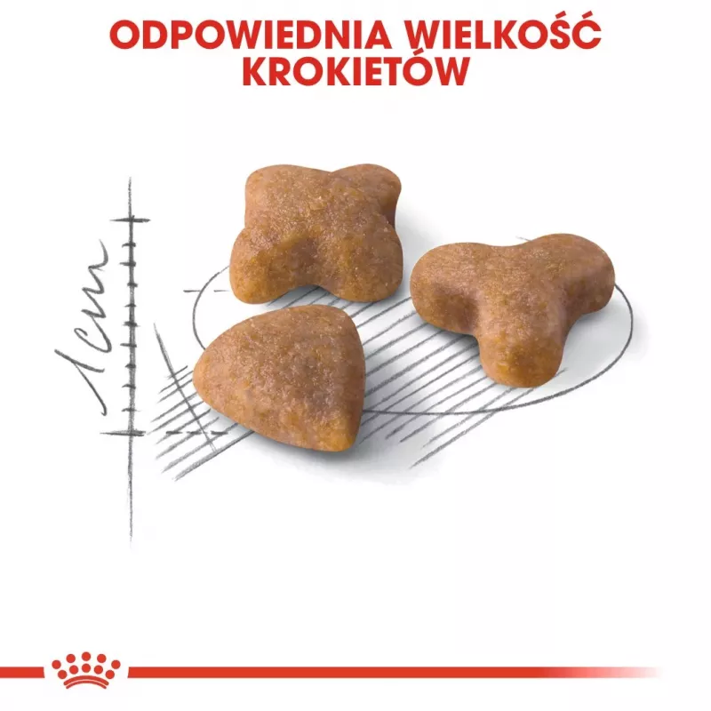 Sausas kačių ėdalas Royal Canin Sensible 33 4 kg — Su paukštiena ir ryžiais, suaugusioms katėms, baltymai 33%, riebalai 22%