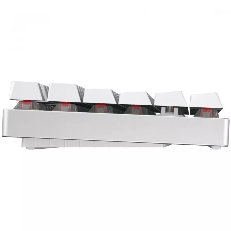 CHERRY XTRFY CHERRY MX 8.2 XAGA TKL WL RGB WHITE belaidė mechaninė klaviatūra
