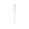 Apple USB-C į Lightning laidas (1 m)
