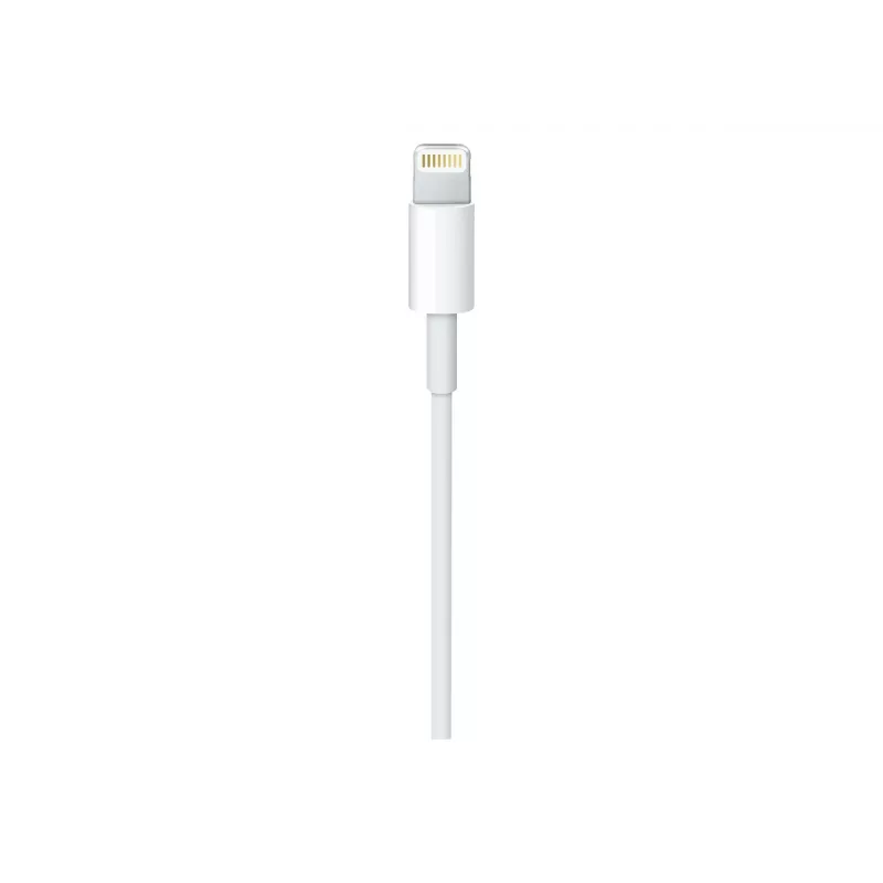 Apple USB-C į Lightning laidas (1 m)