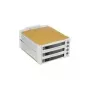 Fantec SNT-BA2131-2 - S-ATA 2x 13,30 cm (5,25 inch) 3x1 HDD korpusas smėlio spalvos (2007)